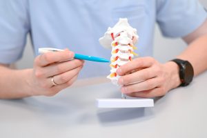 Neurochirurg w Wałbrzychu pokazuje model kręgów kręgosłupa
